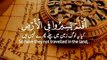 Qurani Ayat For WhatsApp Status -- Most Emotional Voice -- Islamic Status -- Quran Shorts