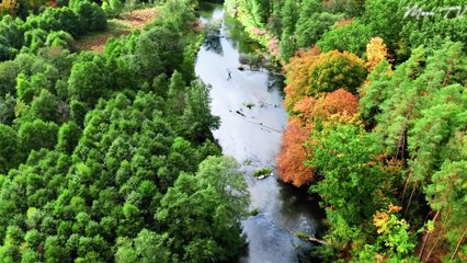 Relaxing Beach Music for Summer Vibes