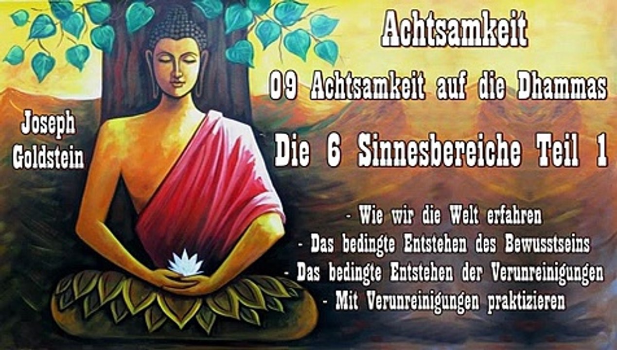 Achtsamkeit 09 Achtsamkeit auf die Dhammas - Die 6 Sinnesbereiche 1 Wie wir die Welt erfahren_WMV V9