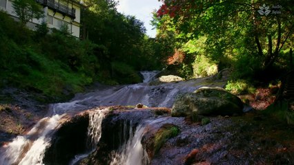 Serene Mountain River with Cascading Waterfalls - 1 Hour Relaxing Video