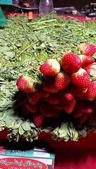 Strawberry kiwi fruit