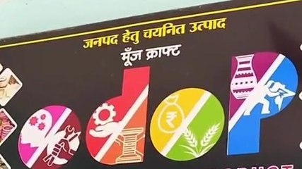 अमेठी: अलग-अलग क्षेत्र में महिलाओं को मिल रहा रोजगार, देखें खबर