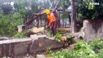Ciclone Mocha, in Bangladesh tetti scoperchiati e alberi sradicati