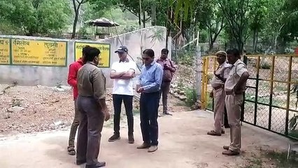 Video: साही के कांटे घुसने से मादा तेंदुआ और शावकों की मौत