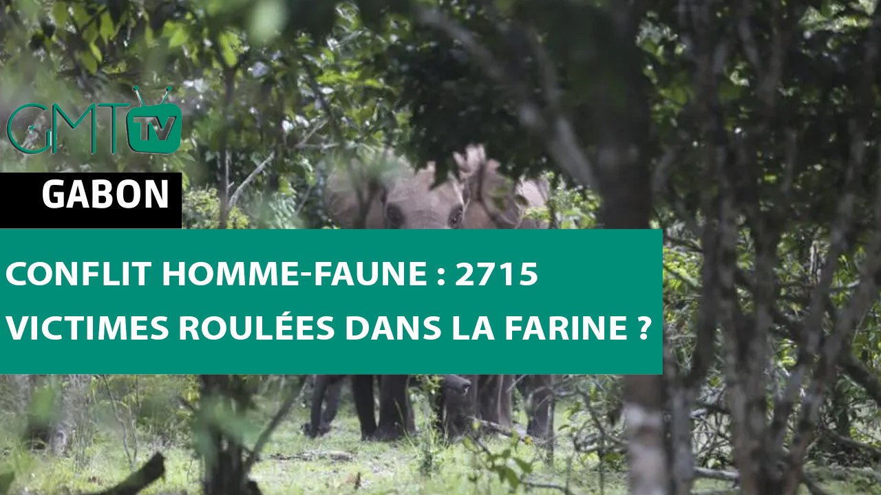 [#Reportage]  Conflit Homme-faune : 2715 victim...