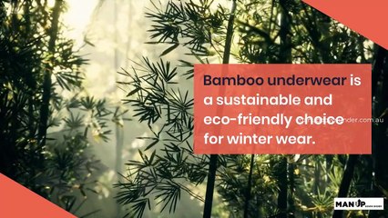Bamboo Underwear Cool and Eco-Friendly