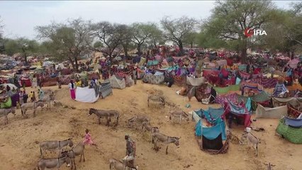 Sudan'dan ayrılarak Çad'a sığınanların sayısı 60 bin oldu