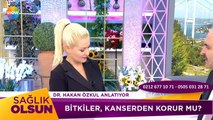 Dr. Hakan Özkul fitoterapi hakkında merak edilenleri anlattı.