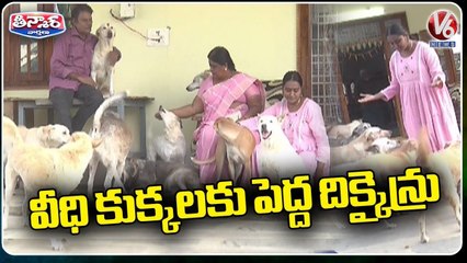Deepika From Mahabubnagar Taking Care Of 30 Stray Dogs At Her Residence _ V6 Weekend Teenmaar