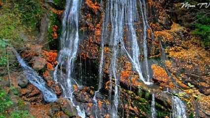 Mindfulness Music for Mindful Moments