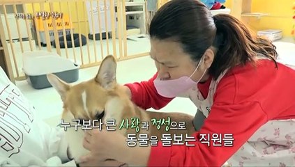 [미니다큐] 아름다운 사람들 - 265회 : 상처를 보듬는 특별한 쉼터