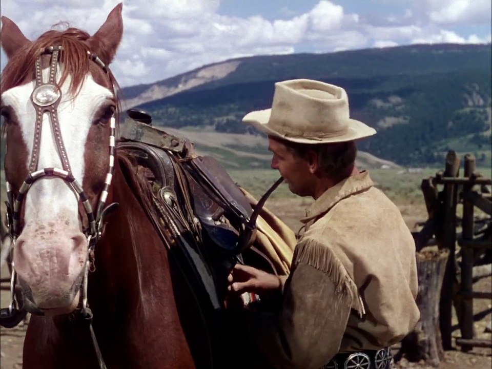 Shane 1953 Alan Ladd