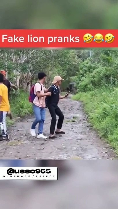 Very funny video
