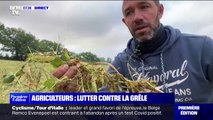 Dans le Lot-et-Garonne, les agriculteurs constatent les dégâts après la grêle