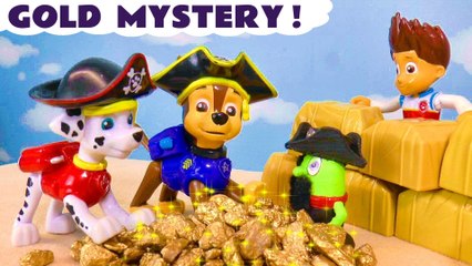 Paw Patrol Toys GOLD Mystery Toy Story Animation cartoon for Kids