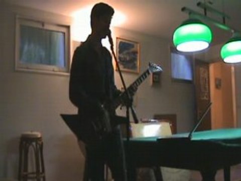 BB brunes perdus cette nuit / titouneuh_69@hotmail.fr