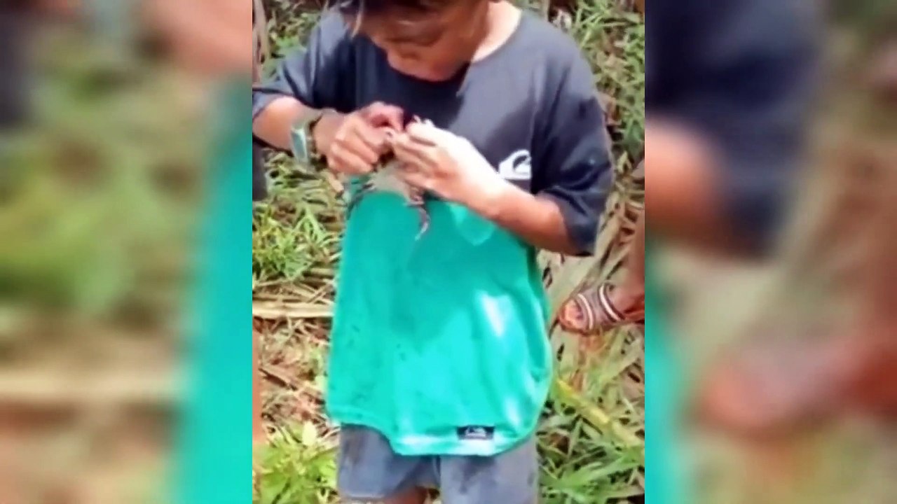 Aww New Funny viral videos 2023 Amazing fun