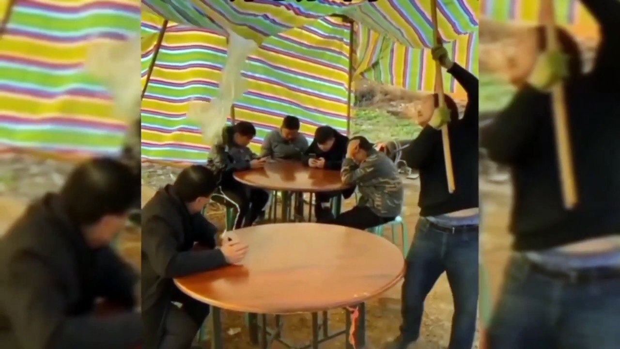 Aww New Funny  Funny videos Of the week Must watchviral videos #awwfun