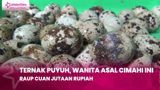 Ternak Puyuh, Wanita Asal Cimahi Ini Raup Cuan Jutaan Rupiah
