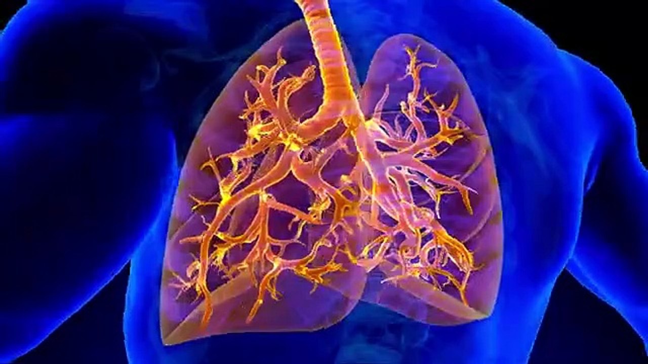 Theta 144 HZ Whole Body Regeneration I Healing Sleep I Deep Meditation I