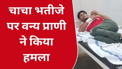 बालाघाट : चाचा-भतीजे पर प्राणघातक अटैक, जान बचाने के लाले पड़े