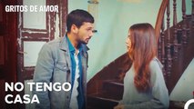 Si Se Descuidan Las Buenas İntenciones De Yusuf - Gritos de Amor Capitulo 24