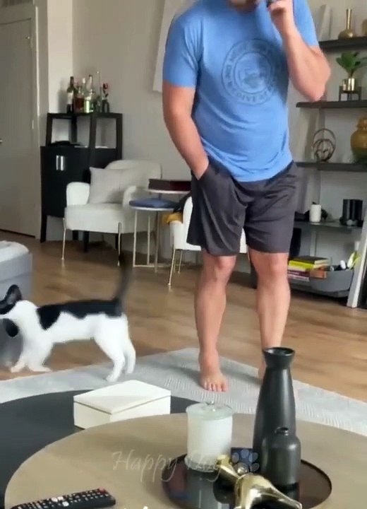 Funny animals - Funny cats _ dogs - Funny animal videos