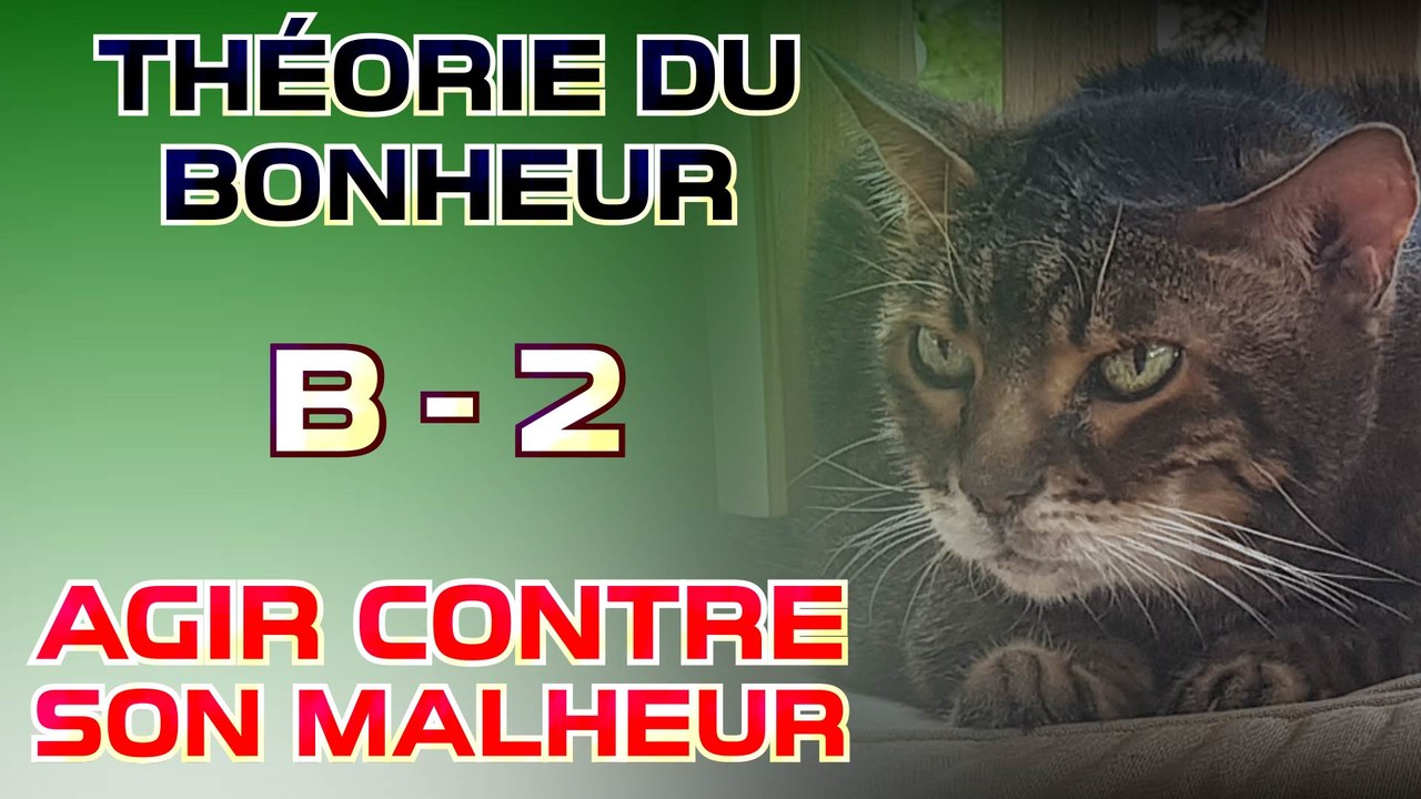 Agir contre son malheur - Théorie du Bonheur - Bonus 2
