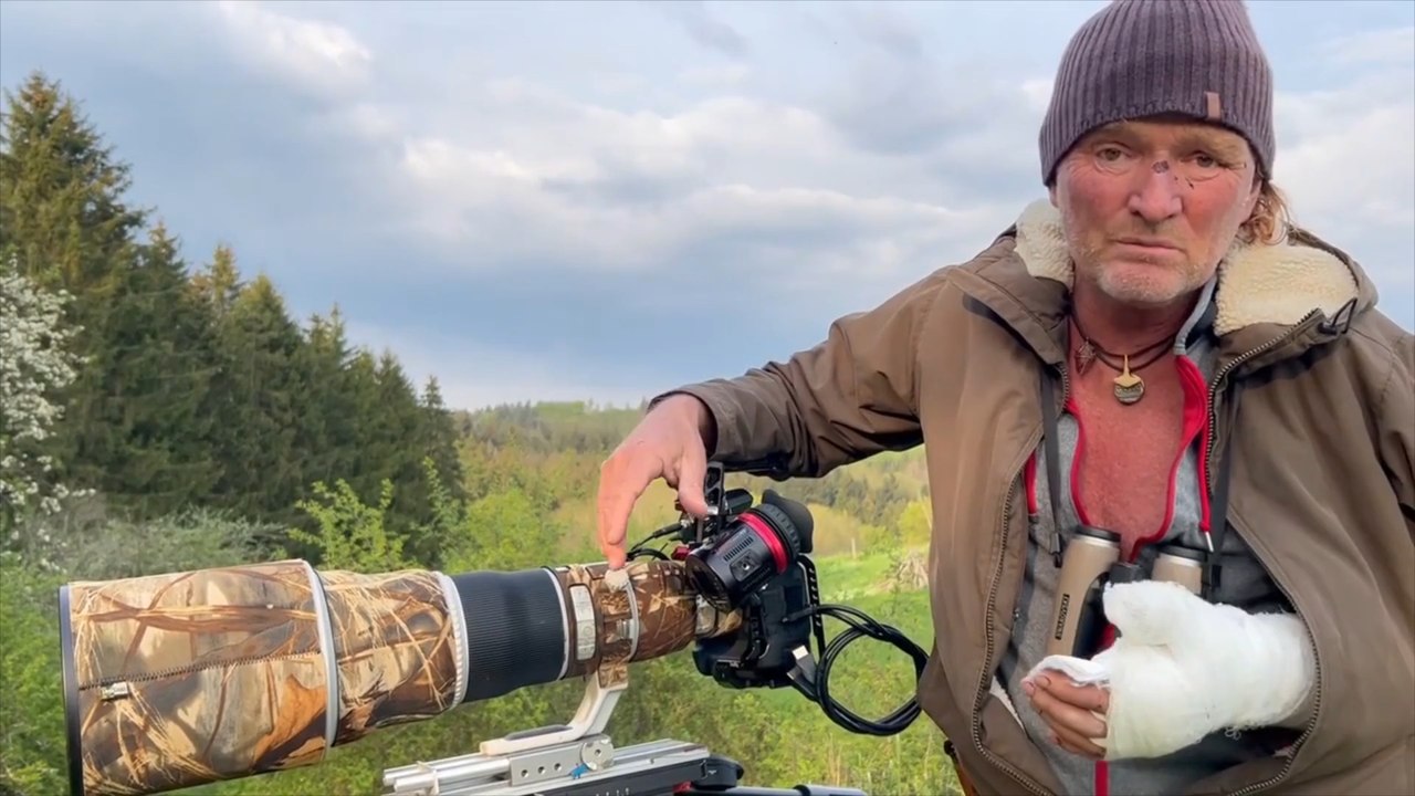 Bekannter tierfilmer überlebt bären-attacke nur knapp