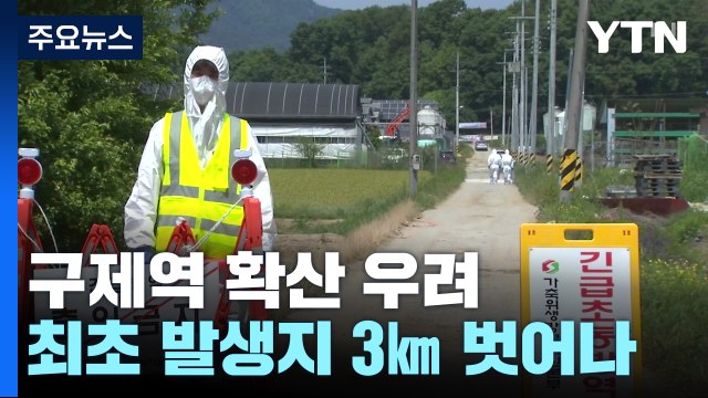 충북 증평에서도 구제역 확진...방역대 벗어나 '전국 확산 우려' / YTN