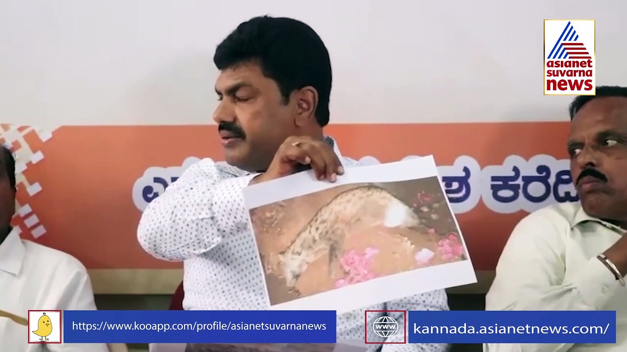 ಮಾಜಿ ಸಿಎಂ ಯಡಿಯೂರಪ್ಪ ಪುತ್ರನ ವಿರುದ್ಧ ವಾಮಾಚಾರ: ಪುನುಗುಬೆಕ್ಕು ಕೊಂದು ಹೂತಿಟ್ಟ ಕೊಳ್ಳೇಗಾಲ ಮಾಂತ್ರಿಕರು