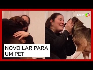 Cachorrinha tem reação inusitada após ser adotada por nova tutora