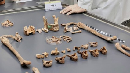 한미, 6·25전쟁 미군 추정 유해 4구 공동 감식 / YTN