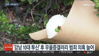 성착취·마약 온상 된 '우울증갤러리'…차단 불가?