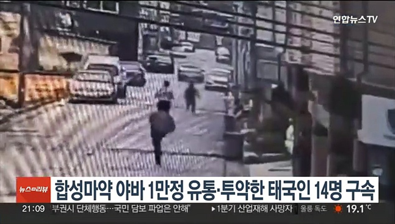 합성마약 '야바' 1만정 유통·투약한 태국인 일당 14명 구속