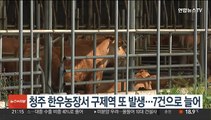 청주 한우농장서 구제역 또 발생…7건으로 늘어