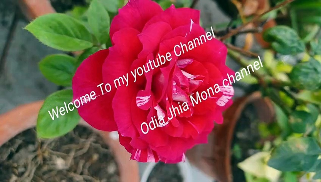 https://youtu.be/ttaQt8lWqoA