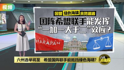 希盟国阵联手能抵挡绿色海啸?   分析：团结政府仍需磨合