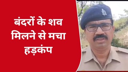 यूपी के इस जंगल में मिलीं डेढ़ दर्जन लाशें, भयानक मंजर देख अधिकारियों के उड़े होश