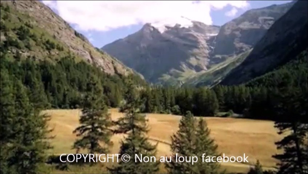 10.Les alpages un paradis pour tous