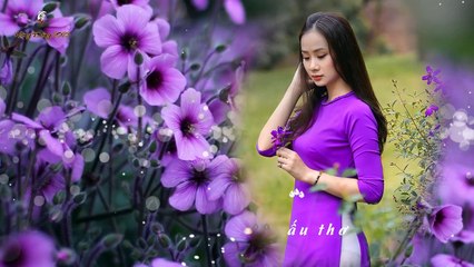 BÀI KHÔNG TÊN SỐ 8 - Tiếng hát MINH CHÂU