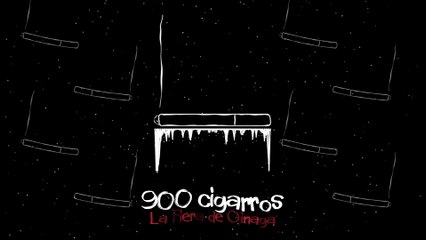La Fiera De Ojinaga - 900 Cigarros (Lyric Video)