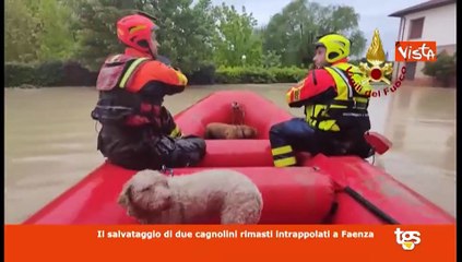 Il Tg Montecitorio edizione del 17 maggio