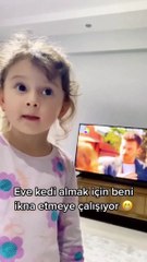 Eve kedi almak için annesiyle müzakerelere başlayan ufaklık