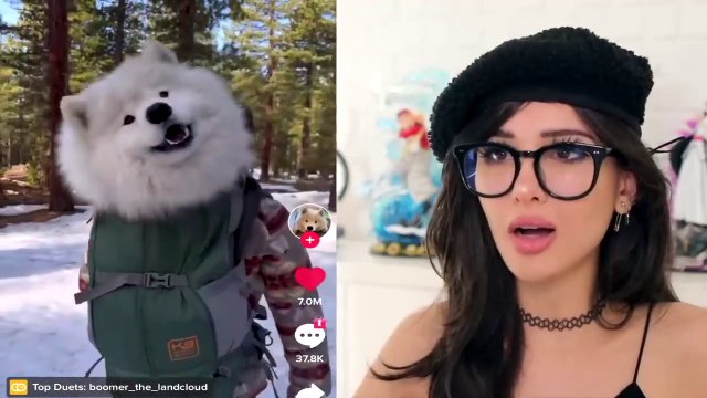 Wholesome Tik Toks That Will Make Your Day