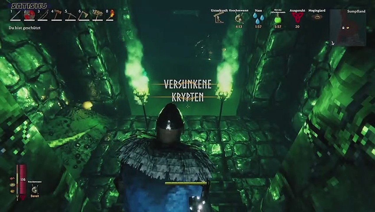 Kryptastische Erlebnisse. Valheim #211