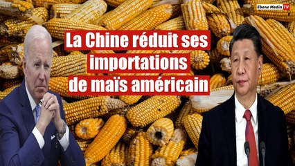 La Chine réduit ses importations de maïs américain