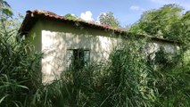 A CASA ABANDONADA DA FLORESTA ESTRANHA