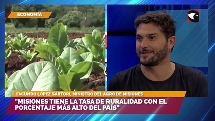 Misiones se prepara para la realización de la "Expo Té Argentina"