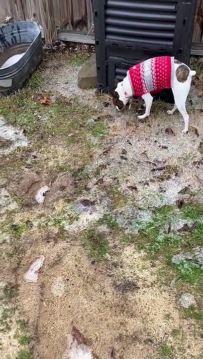 Princess and soccer ball on ice